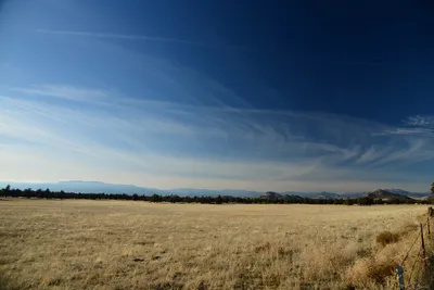 DSC_2984 (Large).JPG